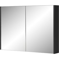 Saniselect Socan Spiegelkast 100x14x70 cm Zijdeglans Zwart