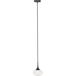 Ben Subra Plafondlamp Opal Glass Ø 15x150 cm Zwart