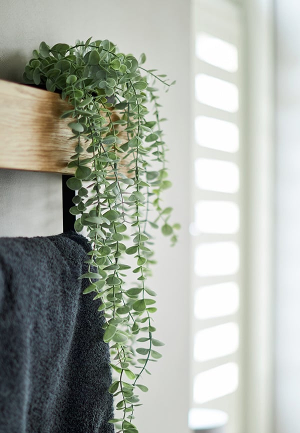 plant in de badkamer